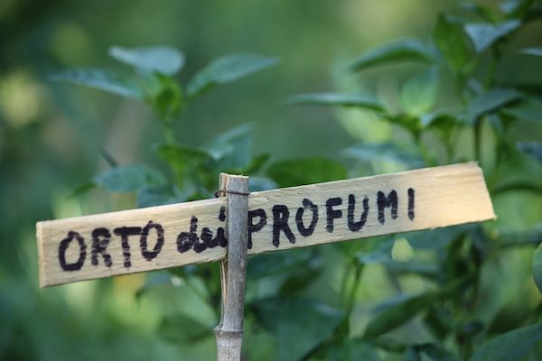 Appennino - L'orto dei profumi di Guerrino Fanchi