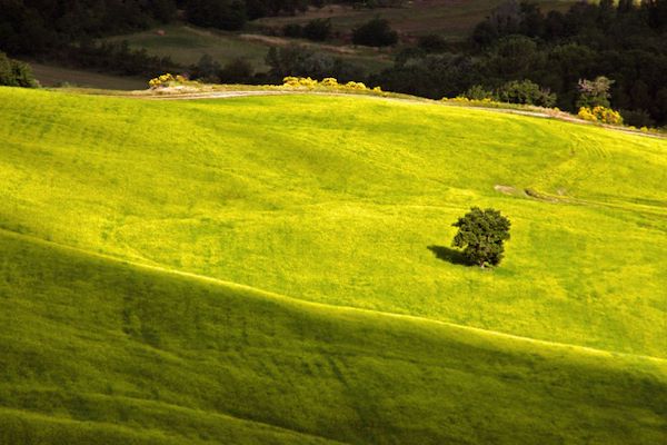 Appennino marchigiano