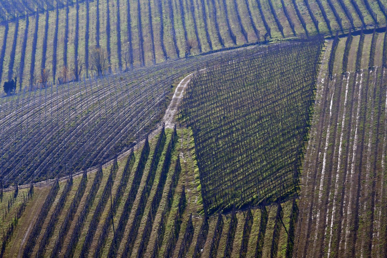 Tra La Morra e Barolo, il racconto di una parte di Langhe