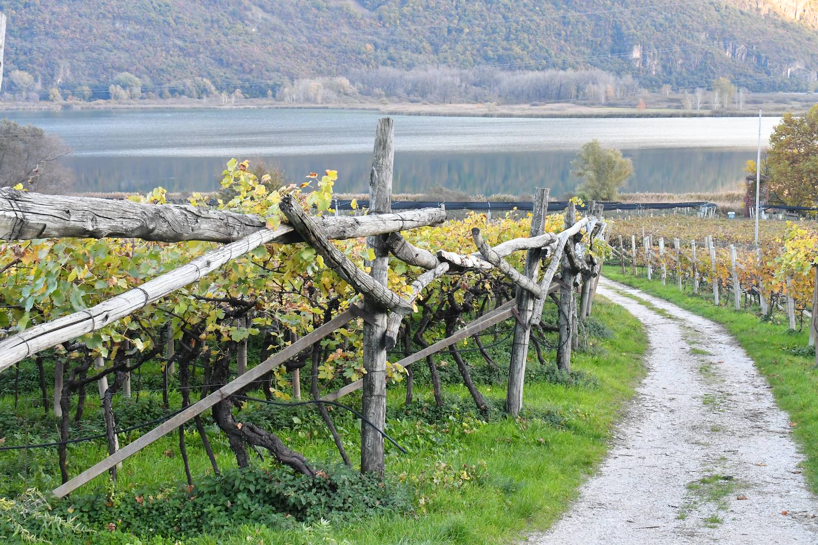 Il lago di Caldaro