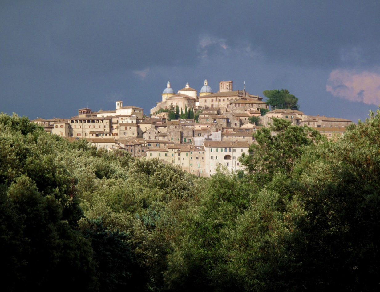 Todi