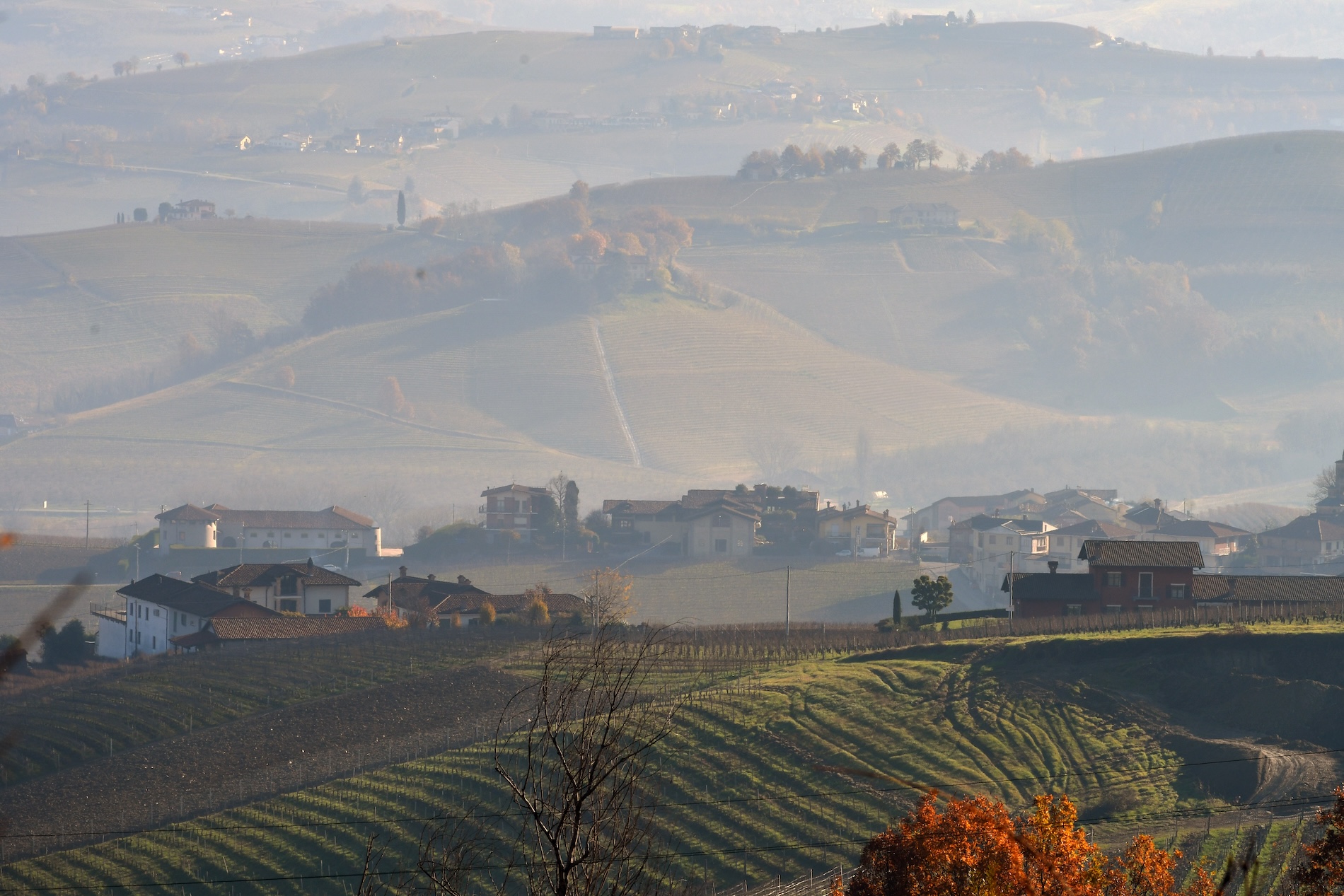 Tra La Morra e Barolo, il racconto di una parte di Langhe